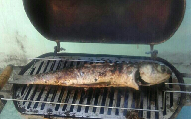 Peixe assado na brasa