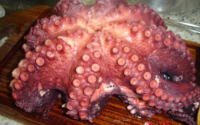 Como cozinhar polvo