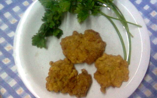 Bifes de carne moída