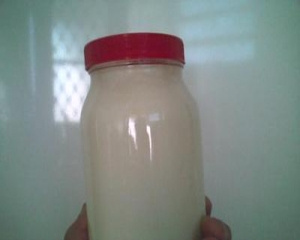 Iogurte natural caseiro