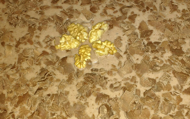 Sobremesa de chocolate com nozes dos Deuses