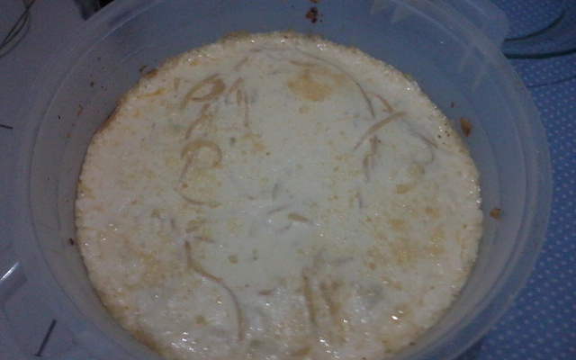 Macarronada à bolonhesa com molho branco