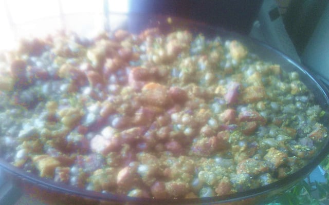 Feijão de corda do Gersão