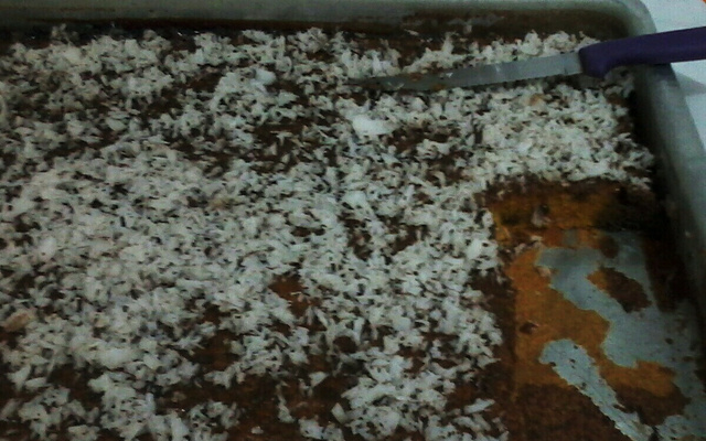 Bolo de cenoura com calda de chocolate