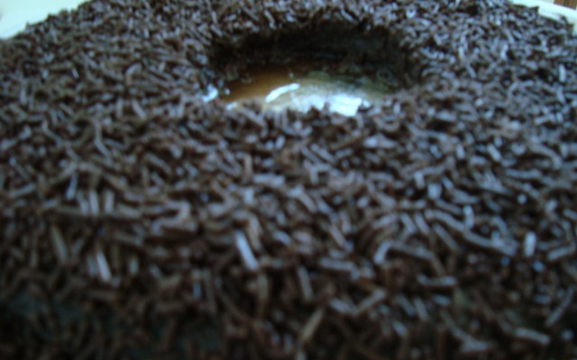 Brigadeirão (microondas)