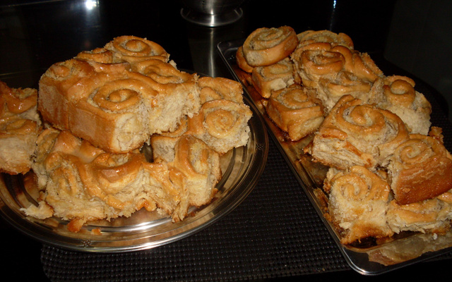 Caracóis de coco espetaculares