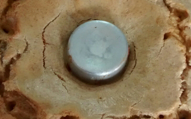 Torta de frango integral