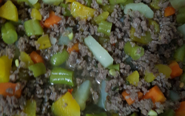Carne moída com jardineira de legumes