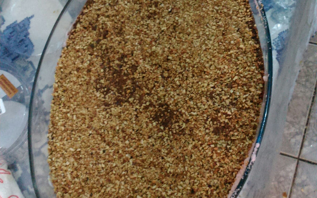 Néctar dos Deuses II