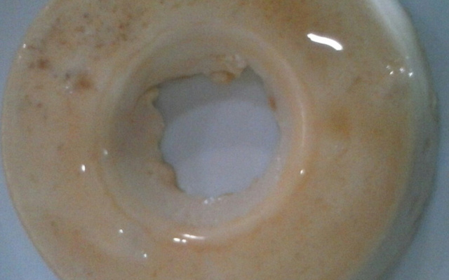 Pudim de leite que não precisa ir ao fogo