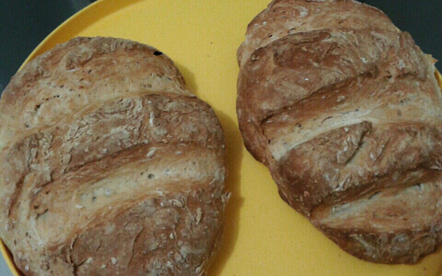 Receita básica de pão