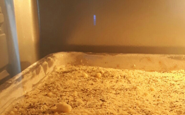 Cachorro quente de forno (delicioso)