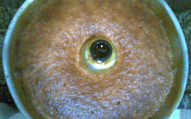 Pudim cremoso de coco