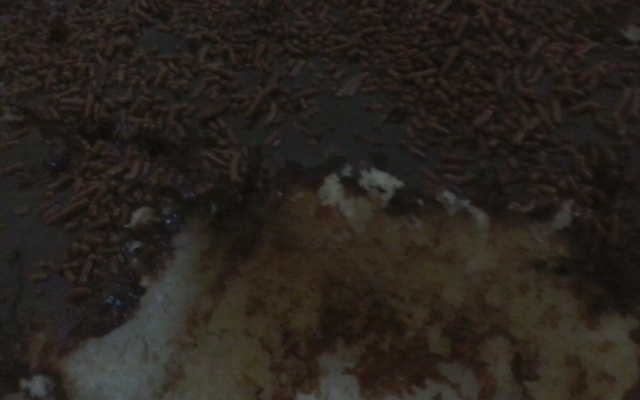 Bolo simples fofinho