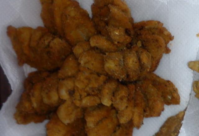 Cebola estilo Outback