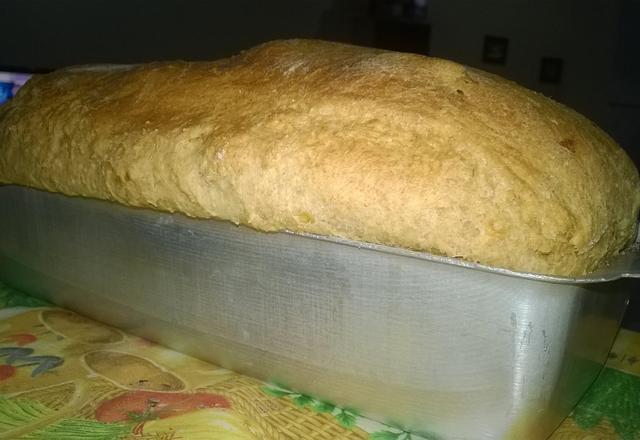 Pão integral especial da Gel