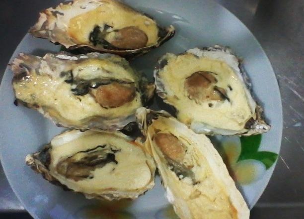 Ostra Cassinho