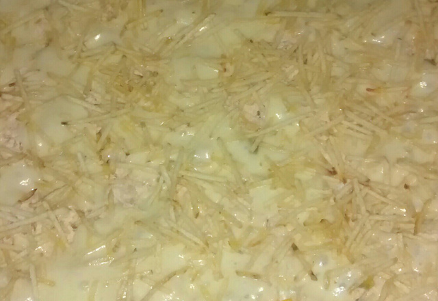 Fricassê de frango rápido