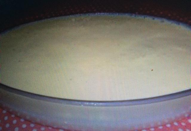 Mousse de maracujá
