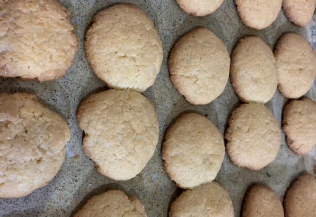 Biscoito de mistura pronta para bolo