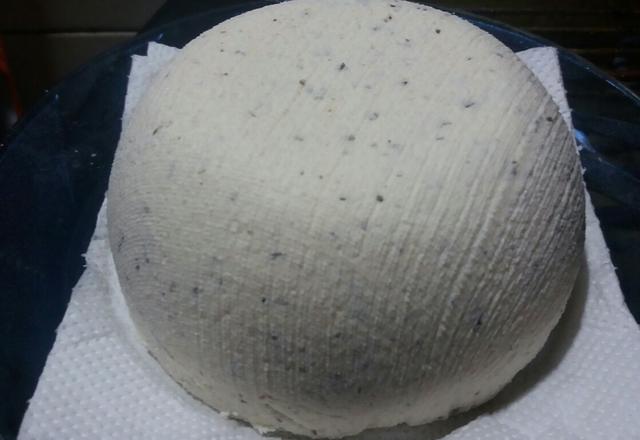 Queijo de kefir