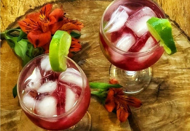 Gin com xarope de cranberry