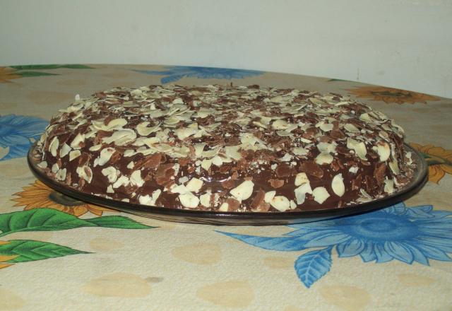 Torta gelada de chocolate e coco