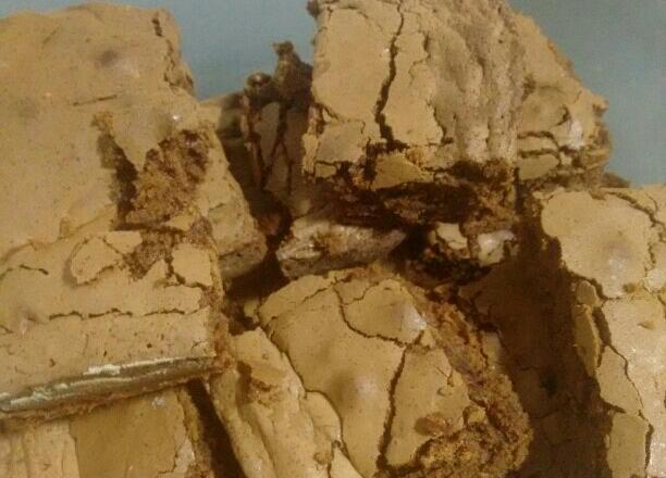 Brownie delicioso