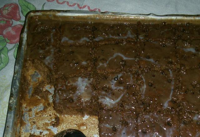 Bolo de chocolate sem óleo