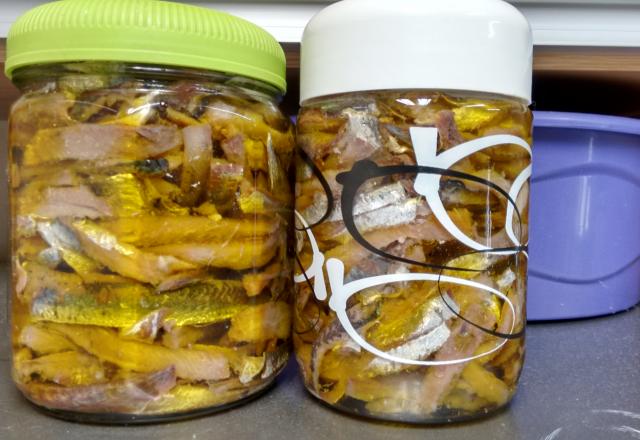 Sardinha anchovada