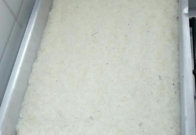 Tapioca de forma