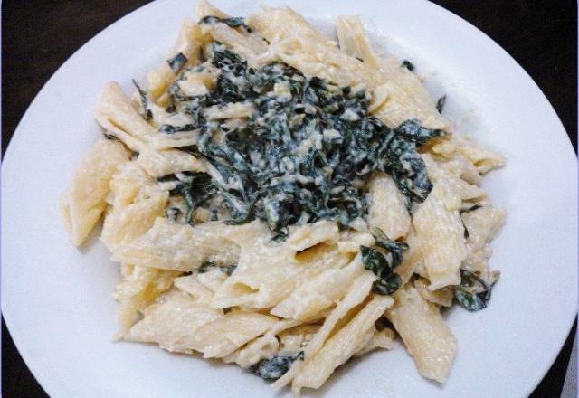 Macarrão com couve
