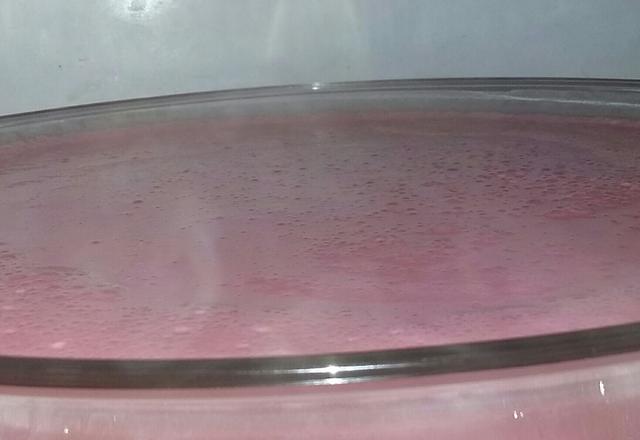 Mousse fácil de morango