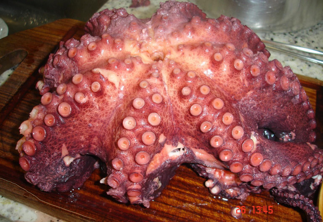 Como cozinhar polvo