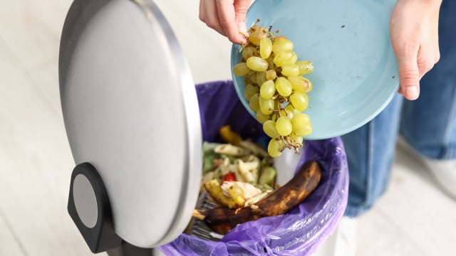 Larvas na lata de lixo da cozinha? Truque do TudoGostoso com apenas 2 ingredientes resolve o problema em minutos