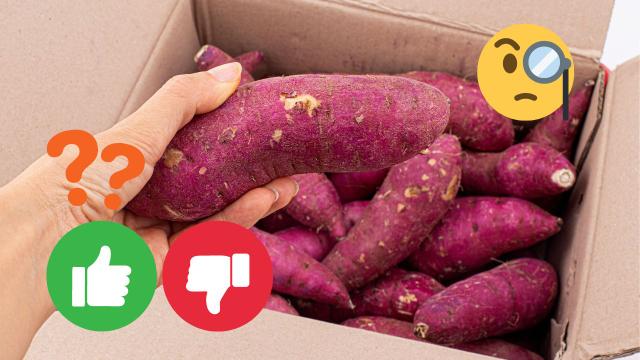 Benefícios e malefícios da batata-doce: saiba por que comer o tubérculo, se ajuda a emagrecer, quanto consumir e cuidados