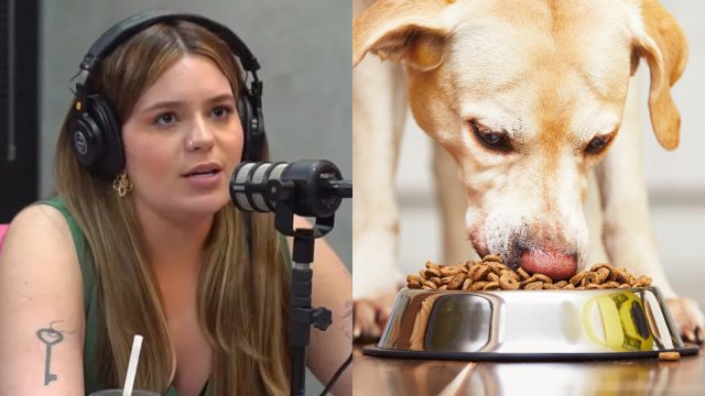 Humanos podem comer ração? Saiba se Viih Tube colocou a saúde em risco ao comer comida de cachorro na gravidez