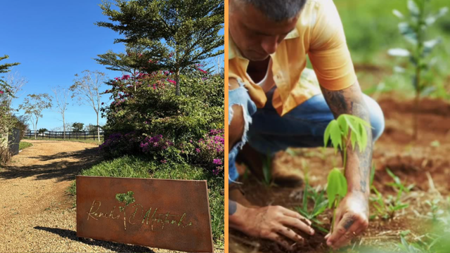 Bruno Gagliasso transformou o Rancho da Montanha, em Memembeca, no interior do Rio, em um projeto de regeneração ambiental, com milhares de mudas nativas para reflorestar a Mata Atlântica e uma estrutura voltada à preservação e à vida sustentável