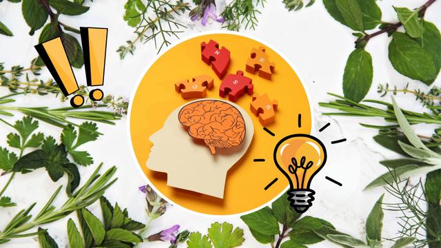 Se você tem memória fraca, você precisa consumir essas ervas: elas estimulam o cérebro, são deliciosas e fáceis de acrescentar ao cardápio