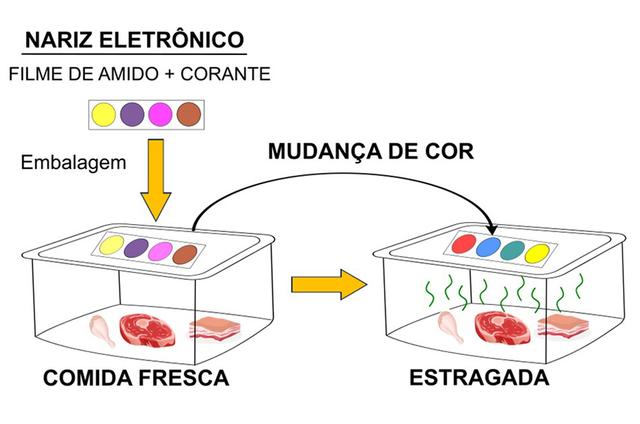 Mecanismo dos “narizes artificiais” (Créditos: Reprodução/IQSC-USP)
