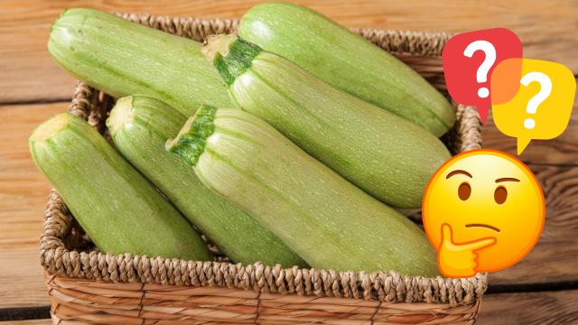 O que acontece se você comer abobrinha todos os dias? Descubra os benefícios, os malefícios e qual é a melhor forma de consumi-la!
