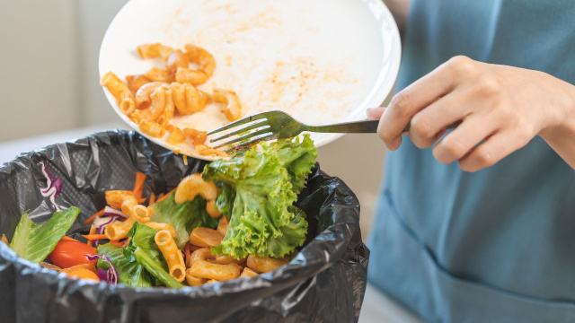 Nunca mais jogue comida fora: como guardar as sobras do Natal do jeito certo