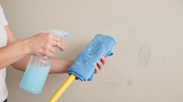 A mistura sai do borrifador direto no tecido, nunca aplicada na pintura. (Foto: gerada por IA)