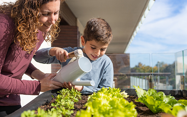 Mini-hortas em apartamento: o que você precisa saber antes de começar