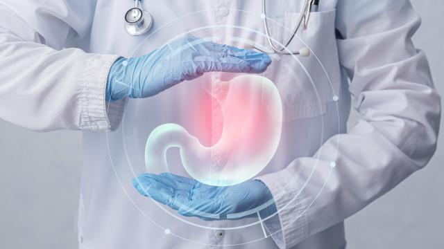 Sou cirurgião cardíaco e garanto: "90% da serotonina, o neurotransmissor do bem-estar, é produzida no trato gastrointestinal