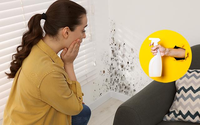 Parede cheia de bolor que chega a dar desespero: solução simples, com apenas 1 ingrediente que todo mundo tem em casa, resolve de um jeito impressionante