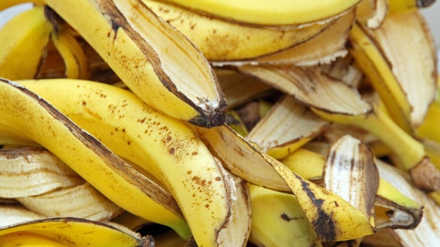 Polvilhei sal na casca de banana - não consigo deixar de me maravilhar com a minha engenhosidade: o truque perfeito para os preguiçosos de verdade