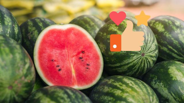 Siga essas dicas para sempre escolher uma melancia boa e docinha no mercado