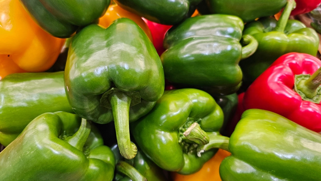 O que você precisa saber na hora de escolher a cor do pimentão para colocar na receita