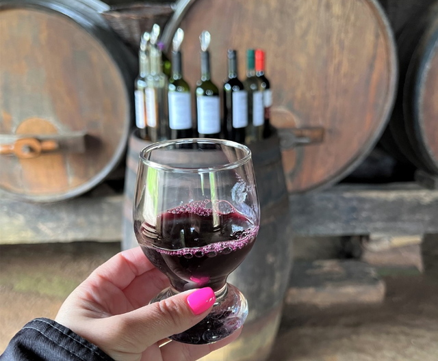 A Cantina Strapazzon tem uma das casas mais antigas e preservadas da região (Créditos: Reprodução Instagram Cantina Strapazzon)